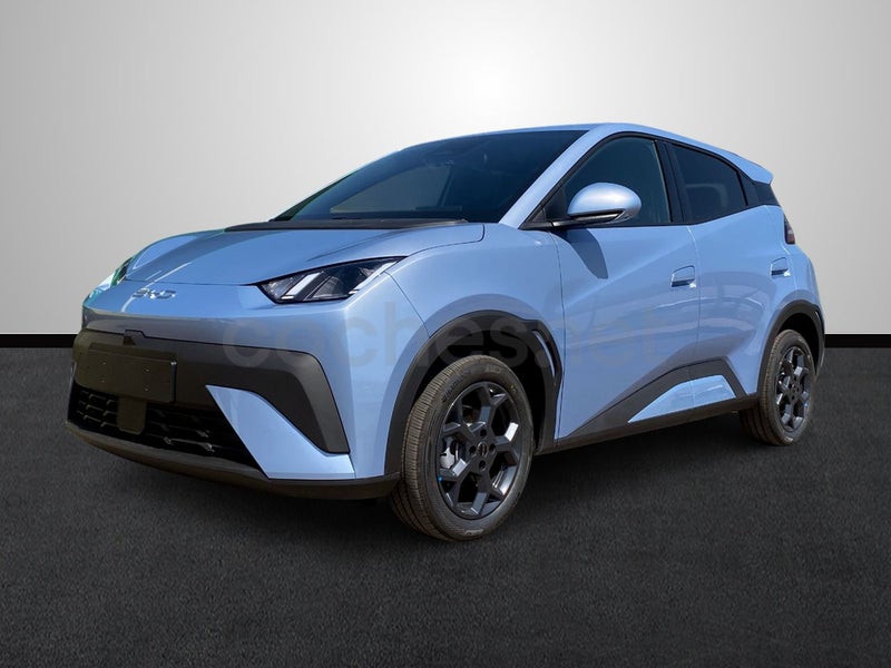 Byd Dolphin Surf 2025