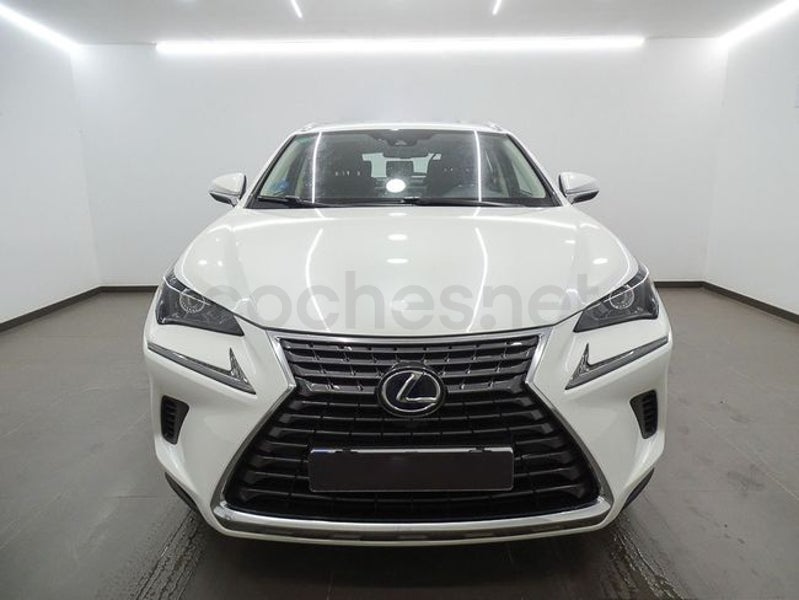 Lexus Nx 2019 — photo 2