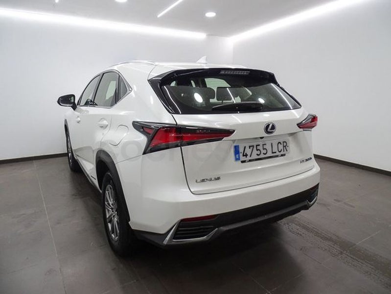 Lexus Nx 2019 — photo 4