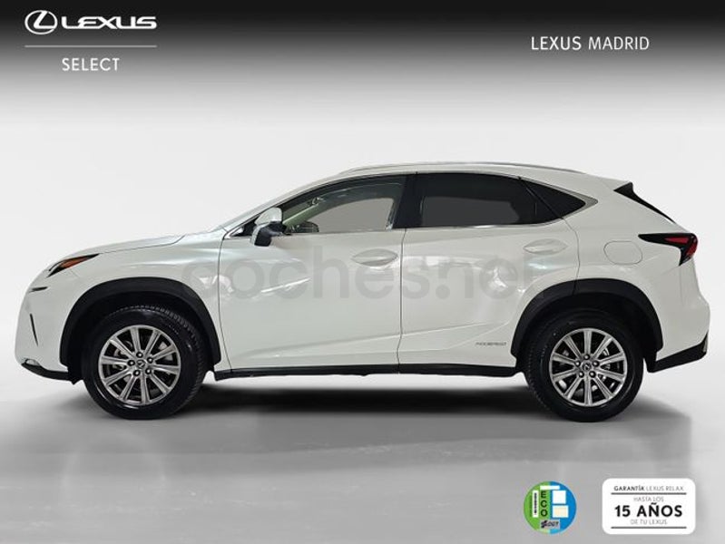 Lexus Nx 2018 — photo 2