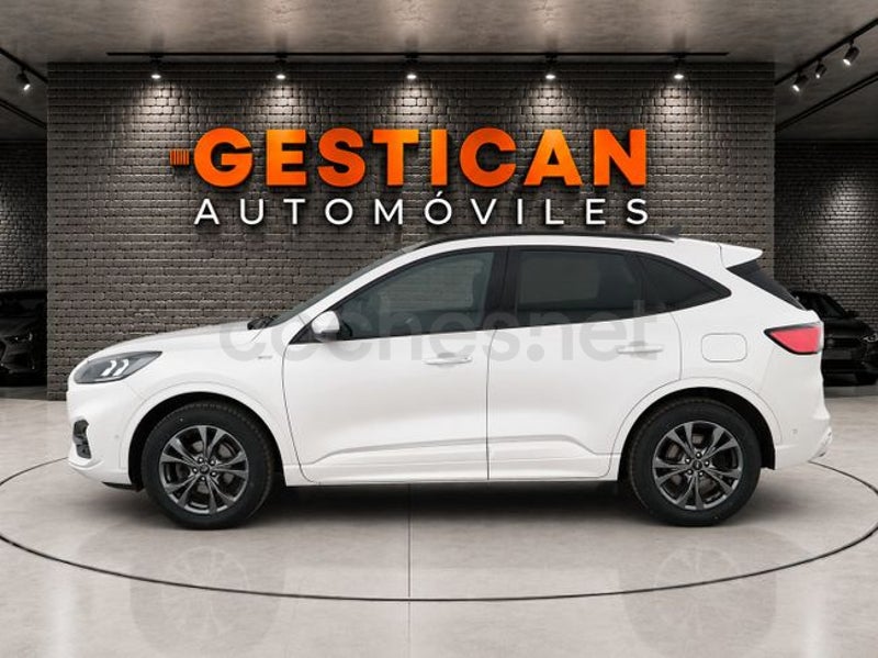 Ford Kuga 2024 — photo 6