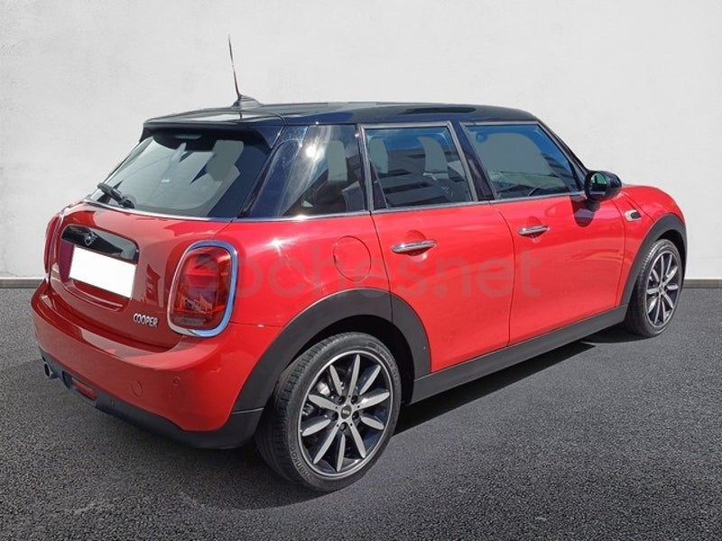 Mini Mini 2019 — photo 4