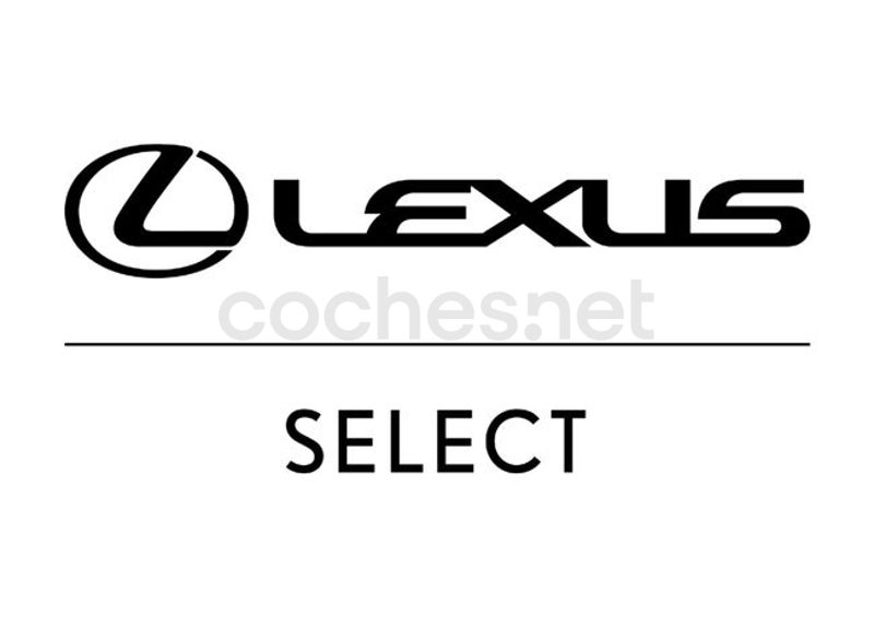 Lexus Nx 2023 — photo 3
