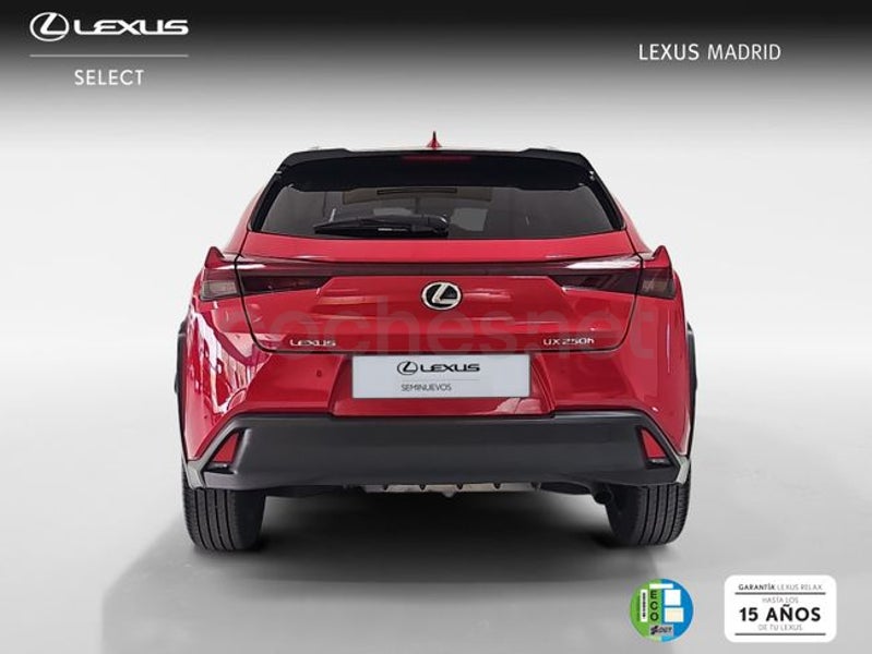 Lexus Ux 2024 — photo 3