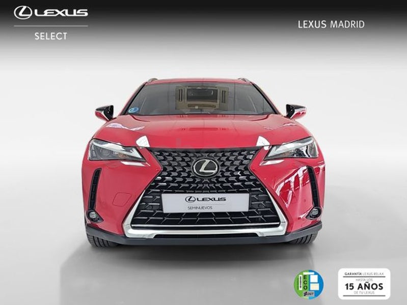 Lexus Ux 2024 — photo 4