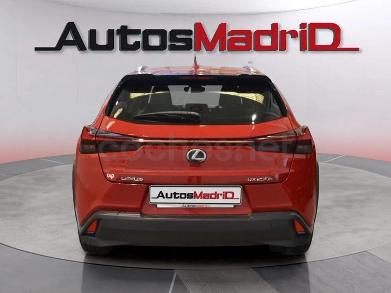 Lexus Ux 2022 — photo 6
