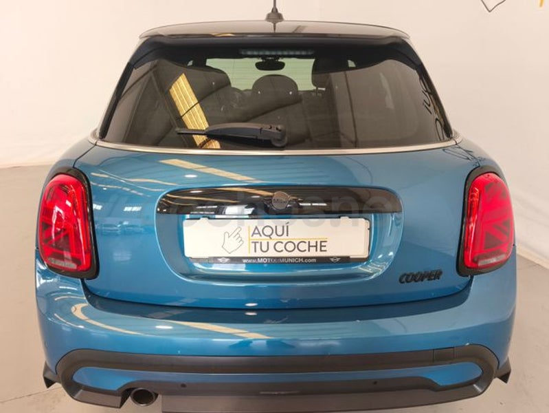 Mini Mini 2022 — photo 7