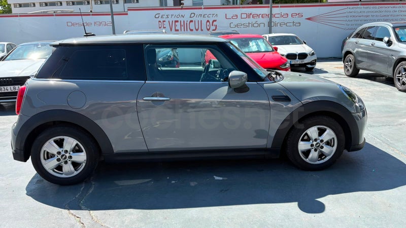 Mini Mini 2021 — photo 4