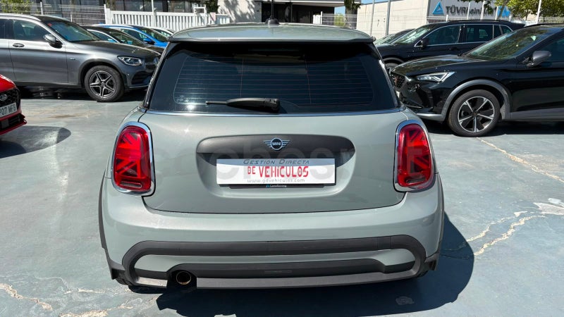 Mini Mini 2021 — photo 6