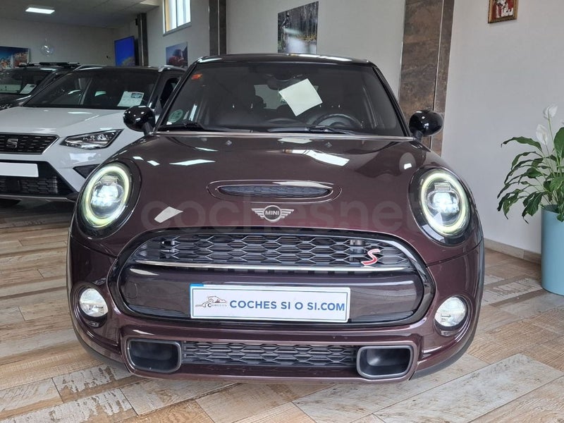 Mini Mini 2019 — photo 2