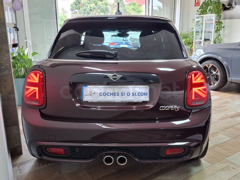 Mini Mini 2019 — photo 4