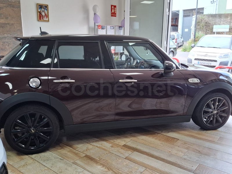 Mini Mini 2019 — photo 5