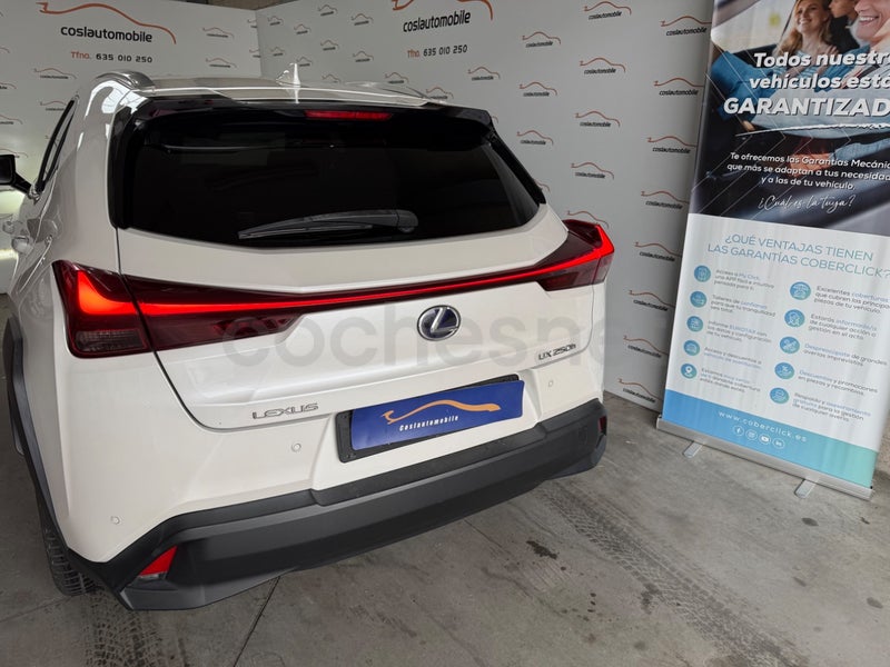 Lexus Ux 2021 — photo 2