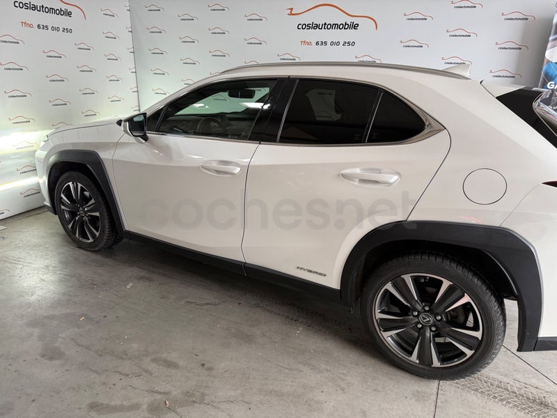 Lexus Ux 2021 — photo 3