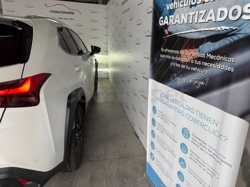Lexus Ux 2021 — photo 6