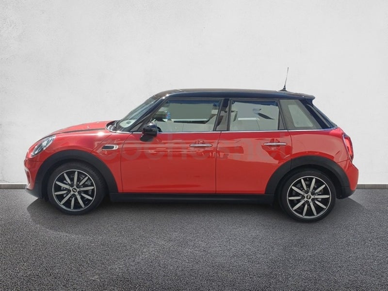 Mini Mini 2019 — photo 3